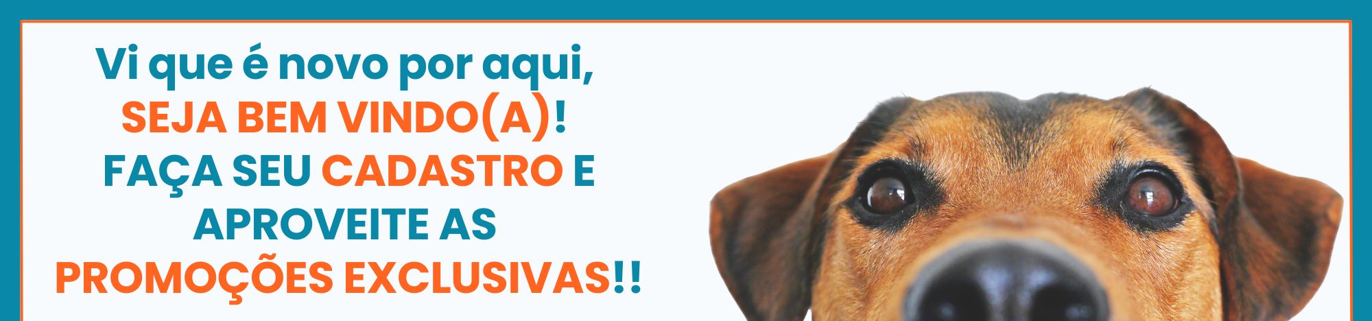Bem vindo